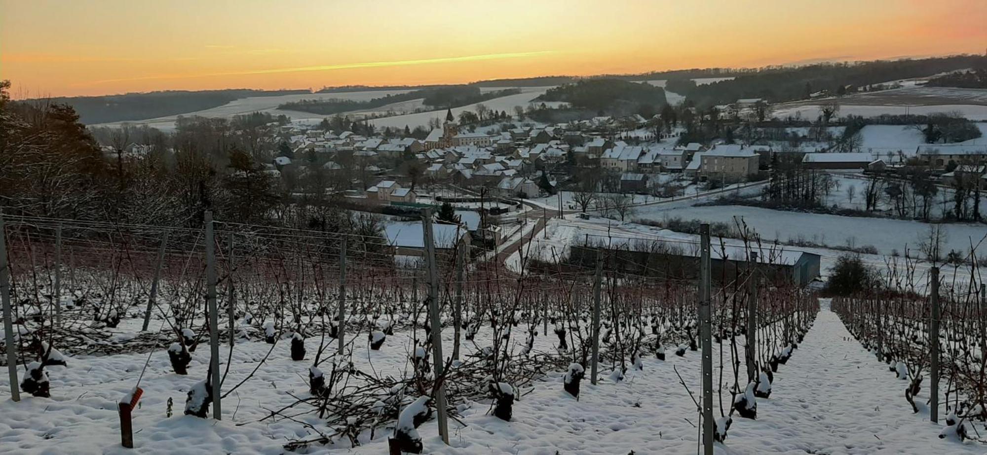 Au Pied Du Vignoble Champenois * Cunfin